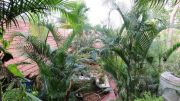 Garden area at the back of the villa