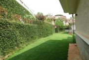Garden area