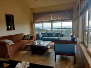 View from the living room