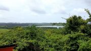 View from the house