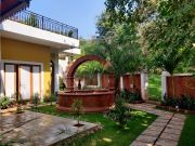 Well and garden