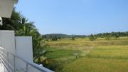 View from the bedroom