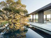 Pool and deck